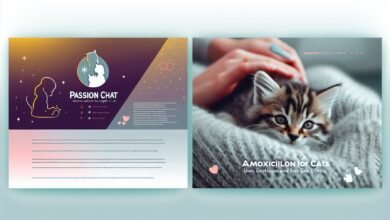 Amoxicilline pour chats : Utilisations, doses et effets secondaires (Réponse du vétérinaire) - Passion Chat