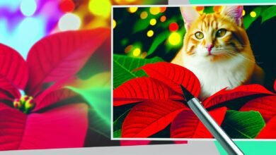 Passion Chat : Mon chat a mangé une feuille de Poinsettia, voici ce qu'il faut faire (réponse du vétérinaire) - Passion Chat