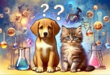 Les Kuppies sont-ils réels? Les chiens et les chats peuvent-ils se reproduire? Ce que la science dit - Passion Chat